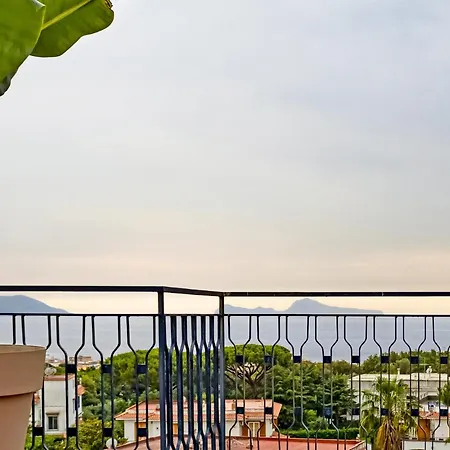 Panorama To *